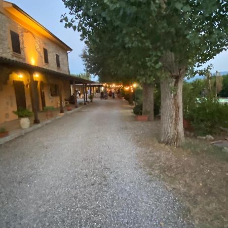 Podere Ripabianca Riparbella Exterior foto